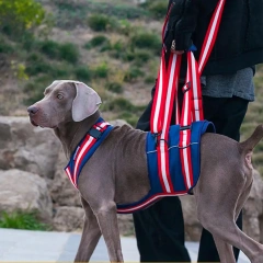 Dog Lift Harness Adjustable Soft Padded Pet Harness Rear Back Legs Helps Dog Lift Sling Carrier For Small Medium Large Dogs