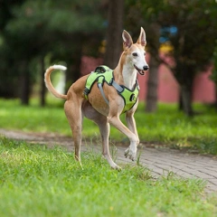 Adjustable Tank Top Pet Chest Strap Explosion-proof Big Dog Chest Strap Oxford Reflective Large Medium Small Pet Traction Rope