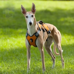 Adjustable Tank Top Pet Chest Strap Explosion-proof Big Dog Chest Strap Oxford Reflective Large Medium Small Pet Traction Rope