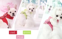 Hot selling puppy dog harness Lovely cat harness Custom design soft fabric small dog harness and leash set