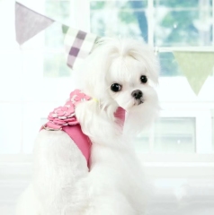Hot selling puppy dog harness Lovely cat harness Custom design soft fabric small dog harness and leash set