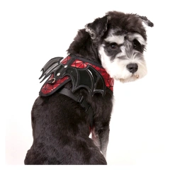 Fashion Pet Dog Harness Leash Training Walk Vest Small Medium Dogs Cat Bat Wings Harness With Leash Set Chihuahua Pet Products