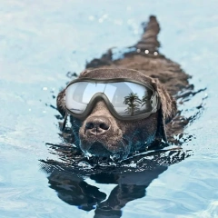 Adjustable Pet Dog Goggles Sunglasses Anti-UV Sun Glasses Eye Wear Protection Black Widely Used Dog Sunglasses Pet Dog Supplies