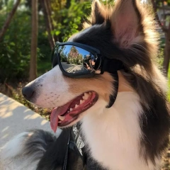 Adjustable Pet Dog Goggles Sunglasses Anti-UV Sun Glasses Eye Wear Protection Black Widely Used Dog Sunglasses Pet Dog Supplies