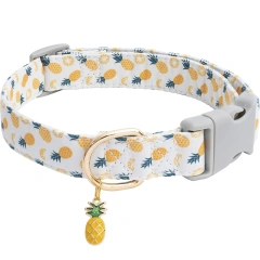 CP602 Fruit pattern Pet dog collar with Fruit metal pendant do for Cat Puppy Dog