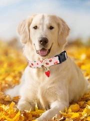 CP611 Pet Dog Puppy Cat Fruit pattern Collar with Metal Fruit pendant Applicable to Small Medium Pet