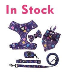 BEEMAN Fashion Printed Nylon Dog Harness Vest Reflective No Pull Dog Harness Leash Set For Small Medium Dogs Cats French Bulldog