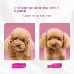 Pet Hair Dryer Dog Grooming 2-In-1 Comb Brush Dryer Cat Dogs Hair Comb Low Noise Massage Hair Not Hurt Hair Water Blower
