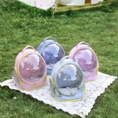 Cat Carrying Bag Space Pet Backpack Breathable Portable Transparent Backpack Puppy Dog Transport Carrier Space Capsule Bag Pets