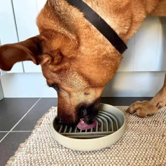 Silicone Dog Lick Mat for Dogs Pet Slow Food Plate Non-sliping Pet Sucker Food Training Feeder Dog Cat Food Bowl Pet Supplies