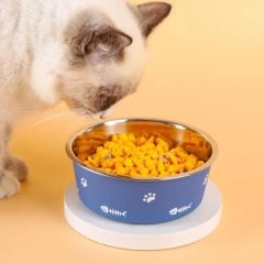 Anti-slip Pet Bowl Nordic Style New Double-layer Thickened Floor-suction Dog Bowls Stainless Steel Dog Cat Feeder mascotas 강아지
