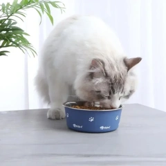 Anti-slip Pet Bowl Nordic Style New Double-layer Thickened Floor-suction Dog Bowls Stainless Steel Dog Cat Feeder mascotas 강아지