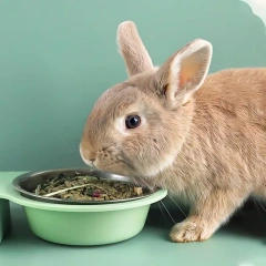 Rabbit Drinking Fountain Food Bowl Two-in-one Chinchilla Guinea Pig Automatic Water Feeding Feeder Food Box Bowl Anti-knock