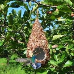 1PC Bird House Natural Grass Hummingbird Bird Nest Fiber Hand-Woven Roosting Nest Bird Hut for Yard Decoration