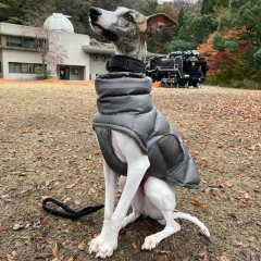 Winter Warm Dog Clothes Thick Reflective Snowsuit Pet Dog Down Jacket for Large Breed Dogs Parkas Clothing for Whippet Greyhound