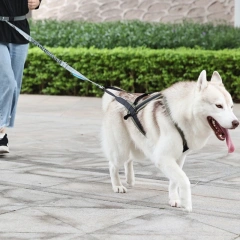 Pet Safety Harnesses Durable Dog Harnesses Comfortable Dog Harnesses Dog Walking Gear for Safe Outdoor Walks