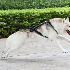 Pet Safety Harnesses Durable Dog Harnesses Comfortable Dog Harnesses Dog Walking Gear for Safe Outdoor Walks