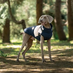 Custom Luxury Dog Jackets Coats Manufacturer Hoodie Pet Clothes Waterproof Dog Coat With Harness Dog Clothes