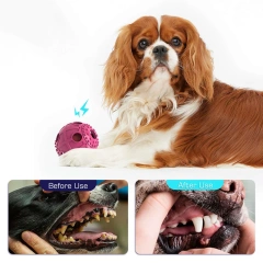 Christmas Interactive Leaky Food Cat Pet Chew Toy Dog Sound Squeaky Toys Ball Bite Resistant Molar Indestructable Dog Toys