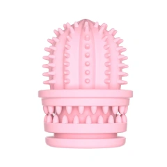 New Eco-Friendly Dog Chew Toy Durable Teeth Cleaning Cactus Shape Toothbrush Natural Rubber Food Grade Squeaky Christmas Gift