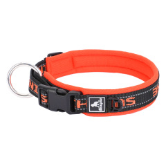 Dog Nylon Collar