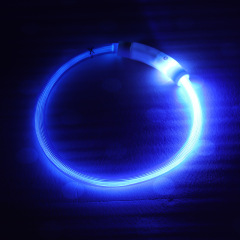 Solid Pattern Rechargeable Dog Collar with Nighttime Glowing Feature Ribbons Decoration Pet Walk Lamp Dropshipping Supported