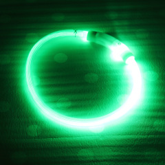 Solid Pattern Rechargeable Dog Collar with Nighttime Glowing Feature Ribbons Decoration Pet Walk Lamp Dropshipping Supported