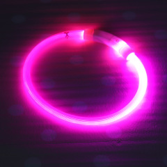 Solid Pattern Rechargeable Dog Collar with Nighttime Glowing Feature Ribbons Decoration Pet Walk Lamp Dropshipping Supported