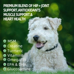Customizable Pet Health Care Joint Supplements Chewing Flavors for Dogs Cats Fish Chickens Enhanced Mobility and Hip Health