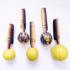 Single Head EVA Rope Pet Toy Ball Bite Resistant Floating Water Training Knotted Supplies for Dog Use