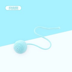 Cat Toys Ball Interactive Toys