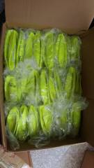 Giant Tennis Ball For Dog Chew Toy Pet Dog Interactive Toys Big Inflatable Tennis Ball