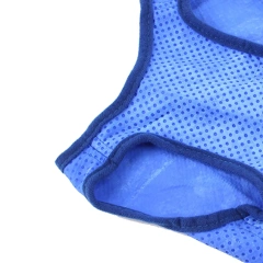 Pets Dog Cooling Vest Evaporative Summer Portable Lightweight Comfort Mesh Ice Vest for Outdoor Beach Walking Sport Training