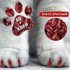 Cat Nail Caps 40Pet Nail Covers Art Claw with GlueTK TEMU