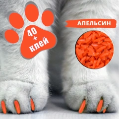 Cat Nail Caps 40Pet Nail Covers Art Claw with GlueTK TEMU