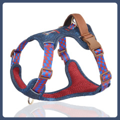 Fashionable pet harness