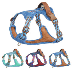Fashionable pet harness