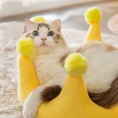 Pet Cute Crown Shape Cat Bed Small Dog Four Seasons Universal Kitten Mat Small and Medium-sized Dog Teddy Bed Supplies