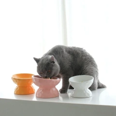 ceramic Raised Cat Bowls, Tilted Elevated Food or Water Bowls , Stress Free, Backflow Prevention, Dishwasher and Microwave Safe