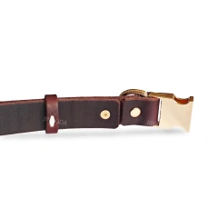 Luxury leather dog collar, genuine leather pet collar, handmade dog neck collar with top layer cowhide and metal buckle