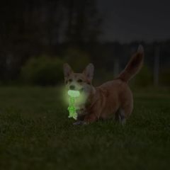 glow-in-the-dark jellyfish toy for dogs