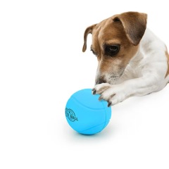 Dog Rubber TPR Chew Ball Toy Pet Interactive Squeaky Hollow Fetch Ball for Dog Teeth Cleaning