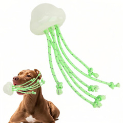 glow-in-the-dark jellyfish toy for dogs