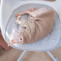 2025 Hairless Cat Autumn/Winter Sphinx German Pet Cat Elastic Fashion Comfortable Soft Sweater