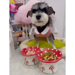 Cute Mushroom Ceramic Elevated Slow Feed Bowl for Small Dogs Cats Raised Anti Gulp Dish Pet Food Water