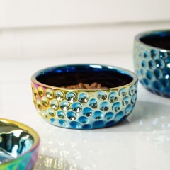 Colorful Electroplated Ceramic Pet Bowl