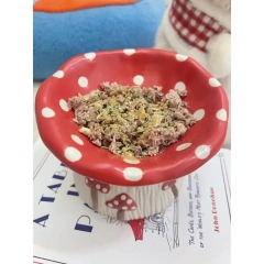 Cute Mushroom Ceramic Elevated Slow Feed Bowl for Small Dogs Cats Raised Anti Gulp Dish Pet Food Water