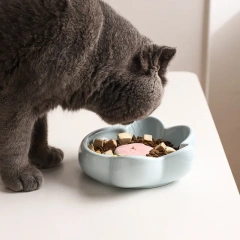 Elevated Slow Feeder Cat Bowl, Raised Anti-Choke Food Dish for Neck Relief & Bloat Prevention, Non-Slip Base Dog Bowl Ceramic