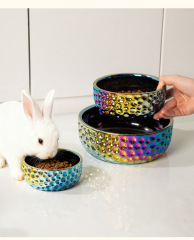 Colorful Electroplated Ceramic Pet Bowl