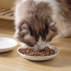 Ceramic Pet Kitten Food Bowl Canned Snacks Dinner Plate Small Anti-slip Cat Plate Household Accessories Creative Pet Food Bowl